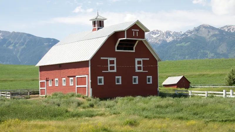 Evergreen NW Insurance Farm