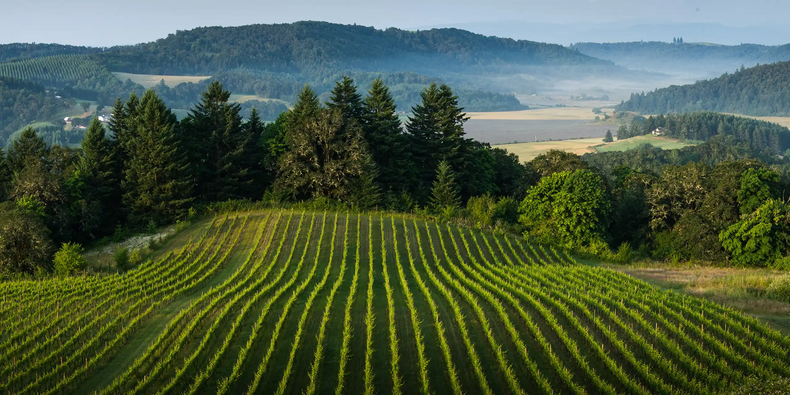 Evergreen NW Insurance Vineyard Farm Business Insurance